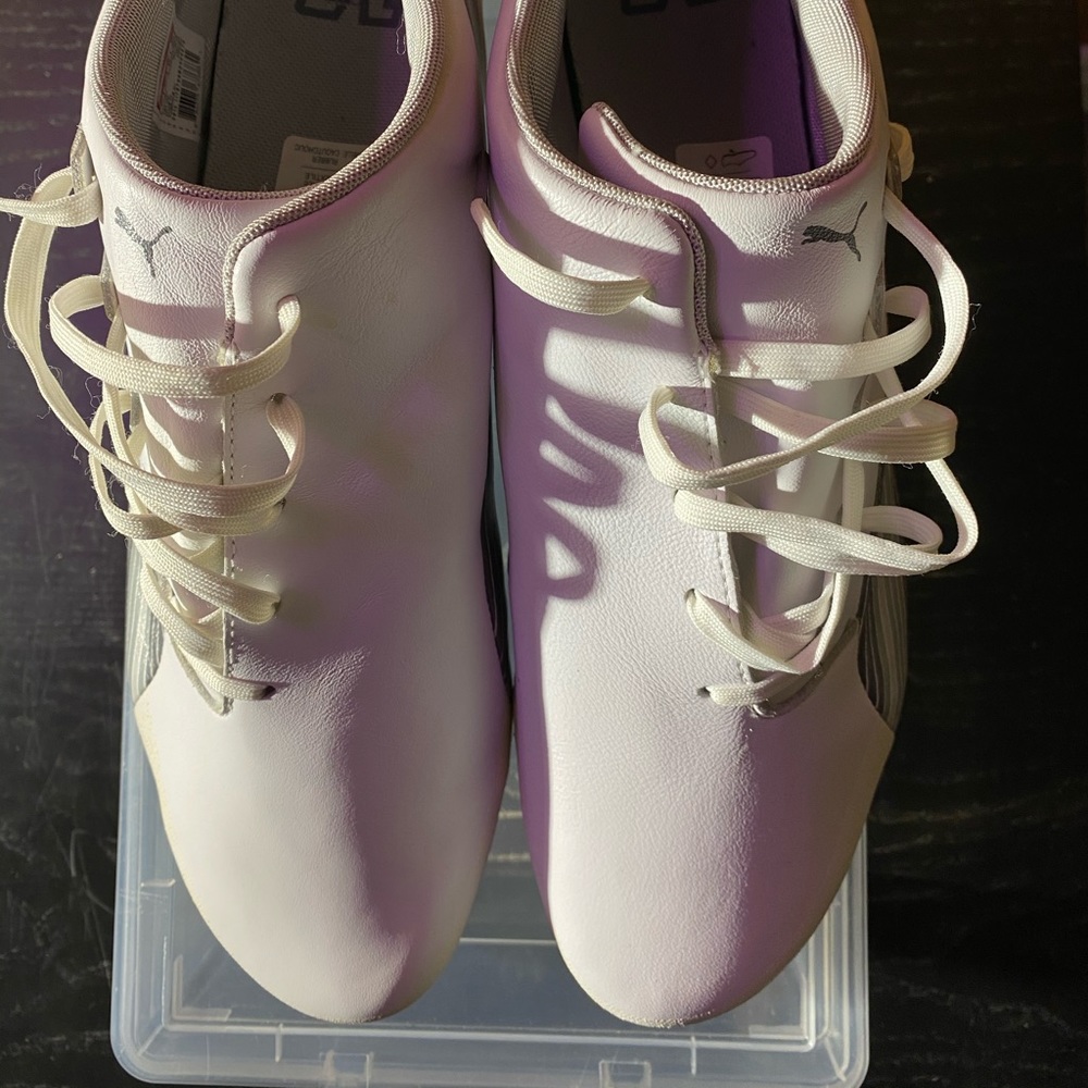 Puma evo shoes